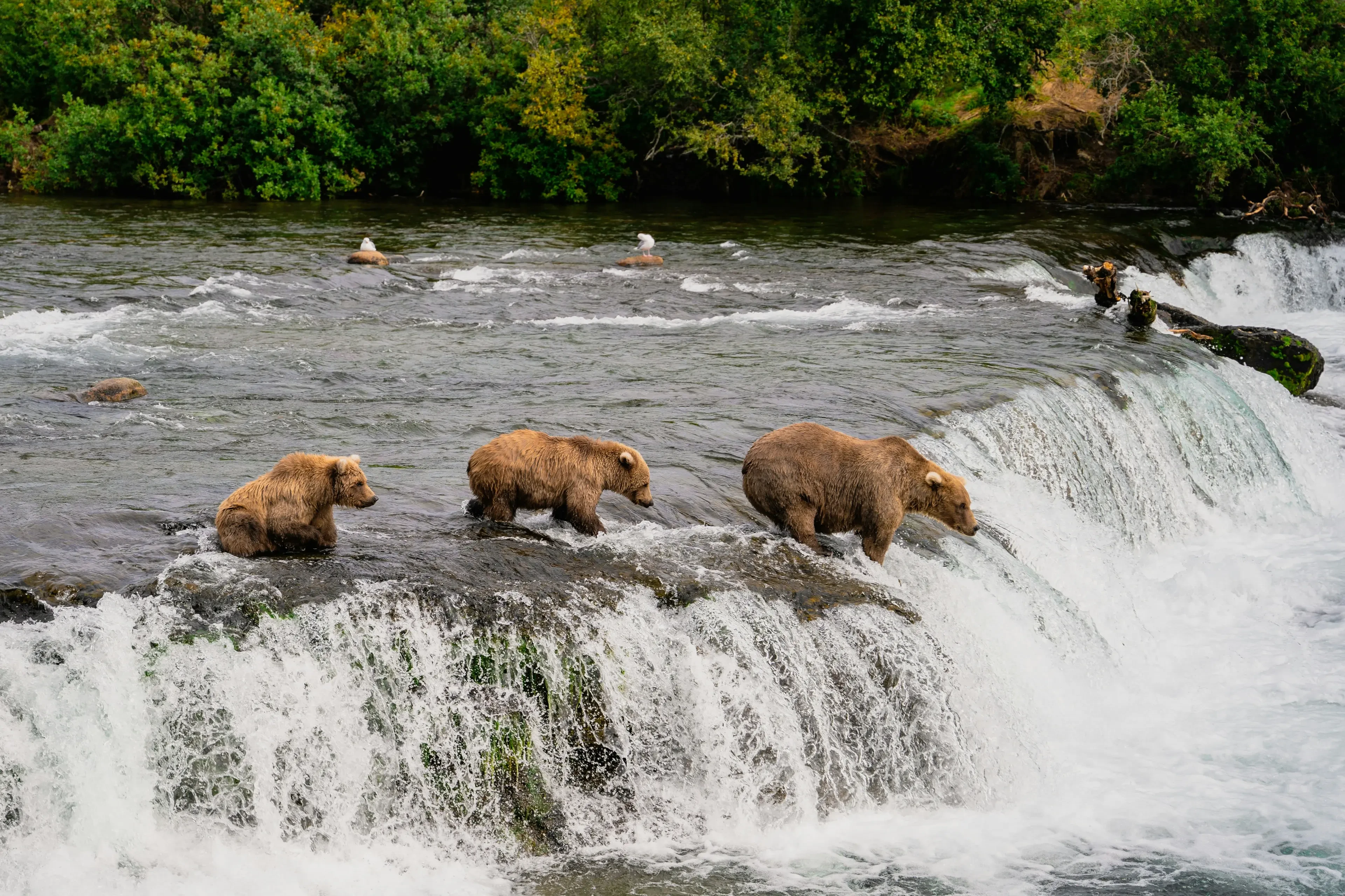 Alaska