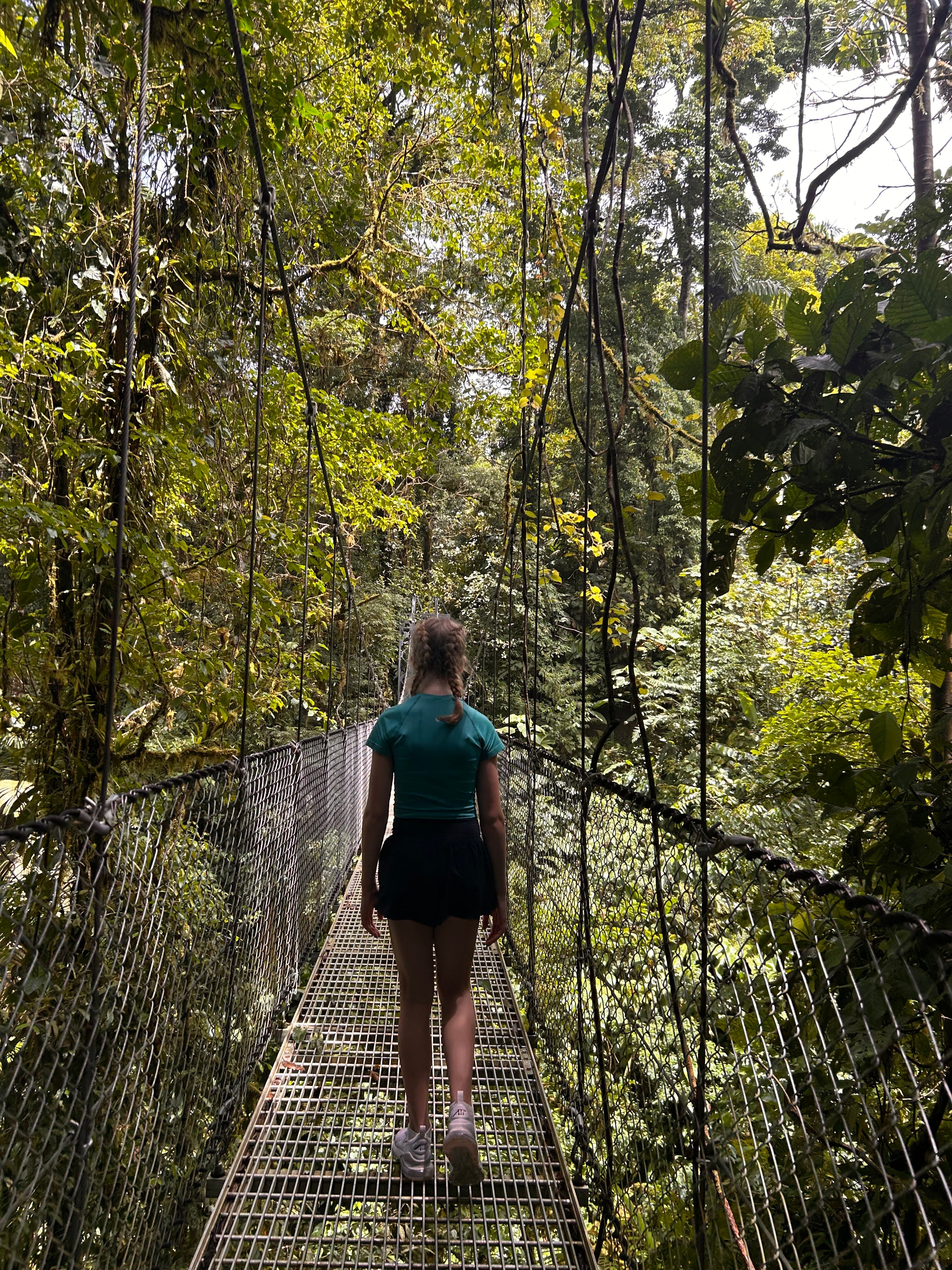 Costa Rica Rainforest